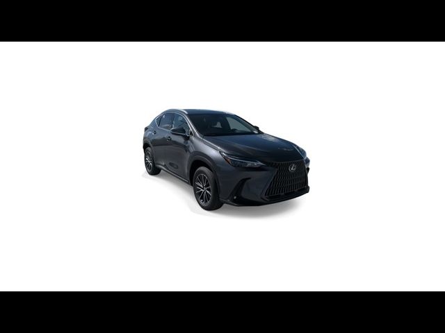 2025 Lexus NX 250