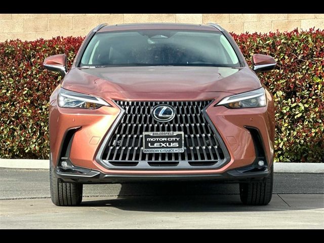 2025 Lexus NX 250