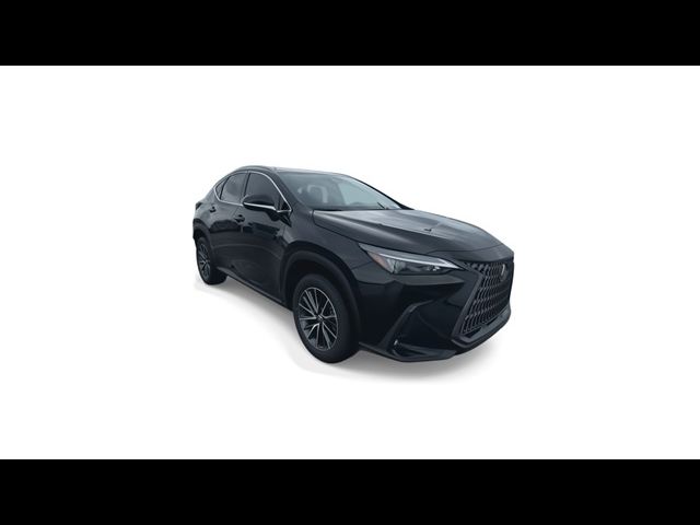 2025 Lexus NX 250