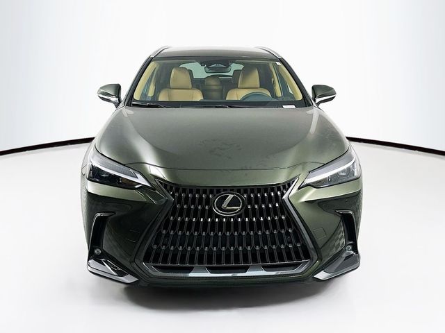 2025 Lexus NX 250