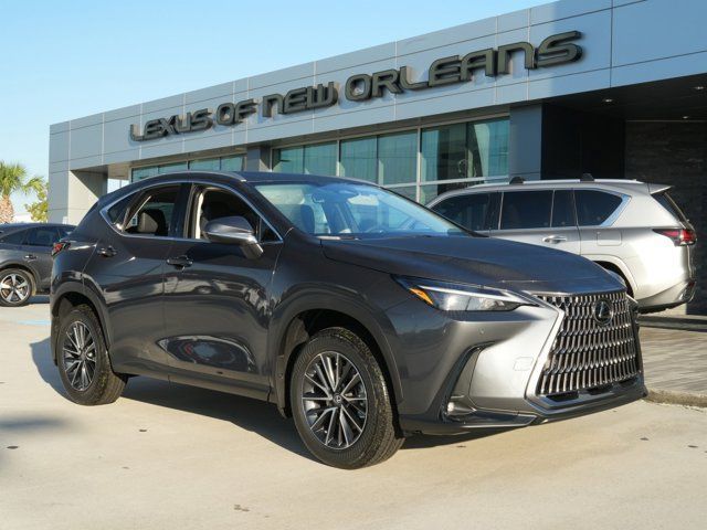 2025 Lexus NX 250