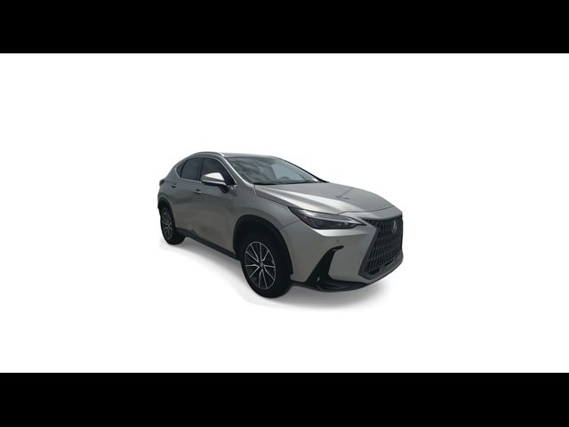 2025 Lexus NX 250