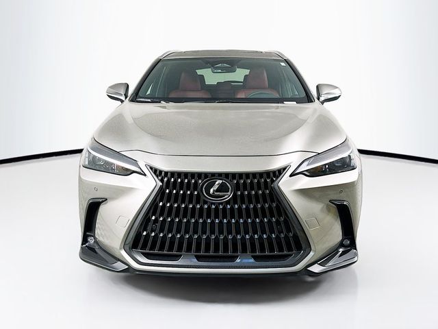 2025 Lexus NX 250