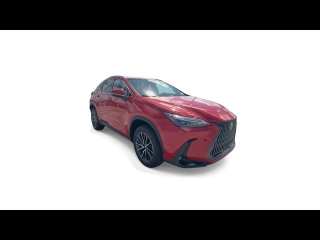 2025 Lexus NX 250