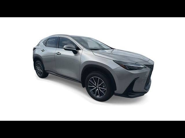 2025 Lexus NX 250