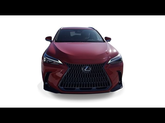 2025 Lexus NX 250