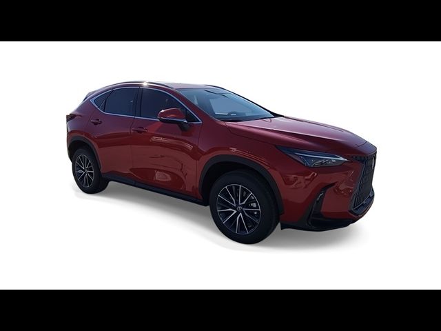 2025 Lexus NX 250