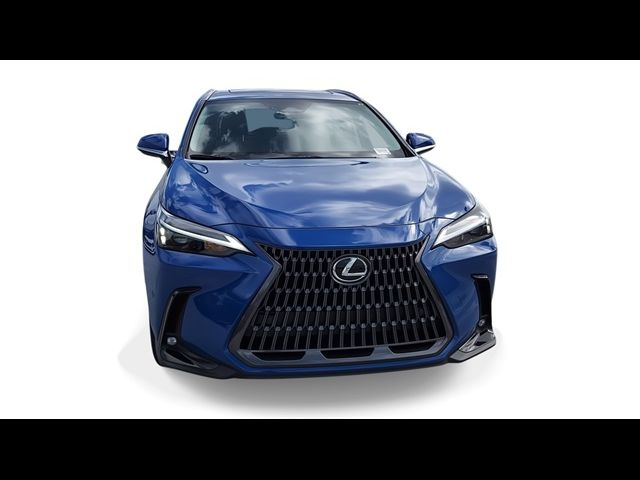 2025 Lexus NX 250