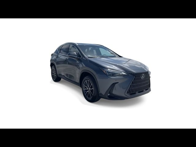 2025 Lexus NX 250