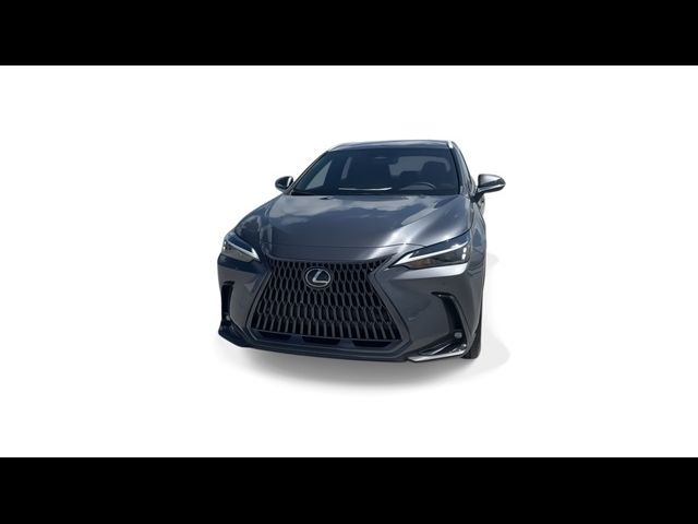 2025 Lexus NX 250