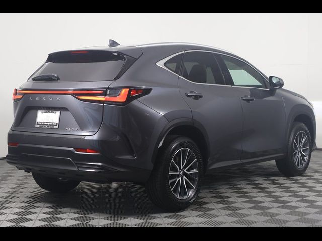 2025 Lexus NX 250