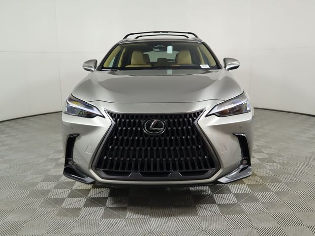 2025 Lexus NX 250