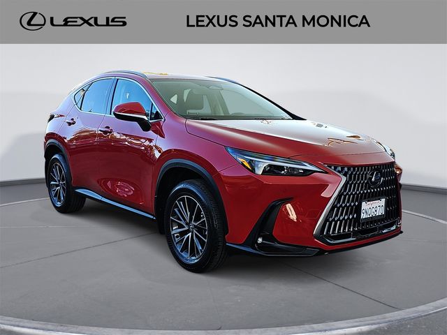 2025 Lexus NX 250