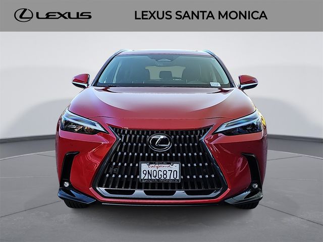 2025 Lexus NX 250