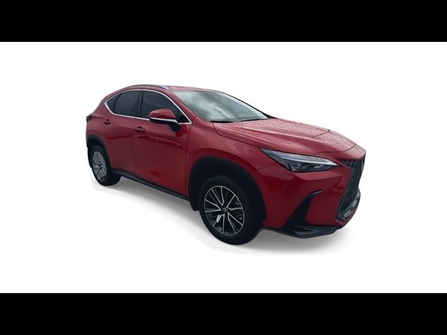 2025 Lexus NX 250