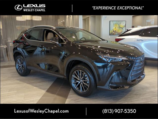 2025 Lexus NX 250