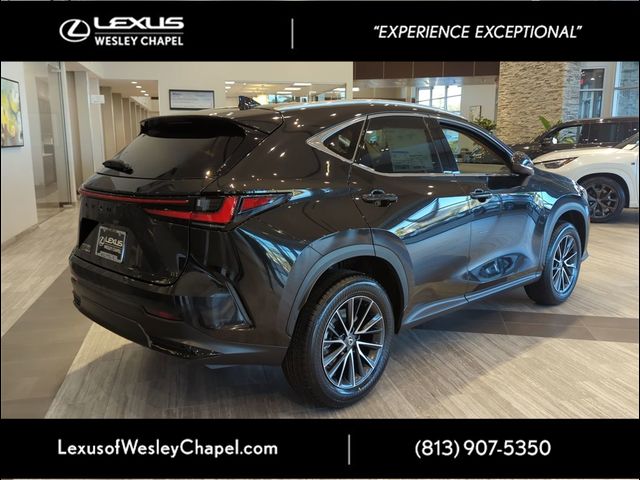 2025 Lexus NX 250