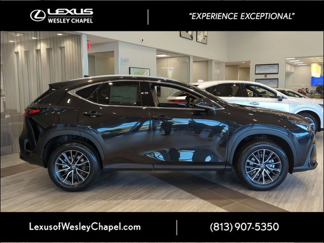 2025 Lexus NX 250