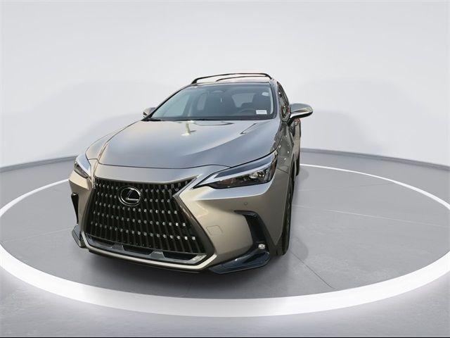 2025 Lexus NX 250