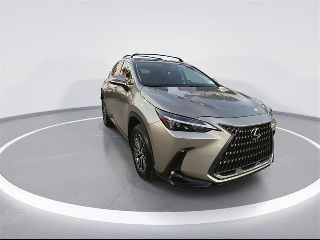 2025 Lexus NX 250