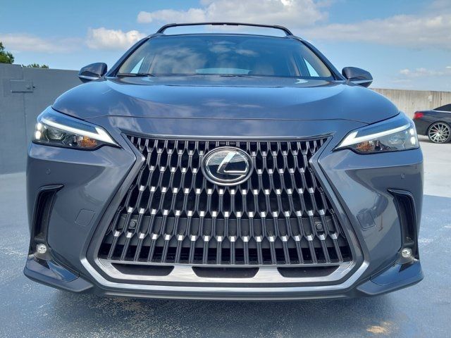 2025 Lexus NX 250