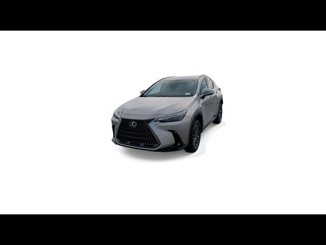 2025 Lexus NX 250