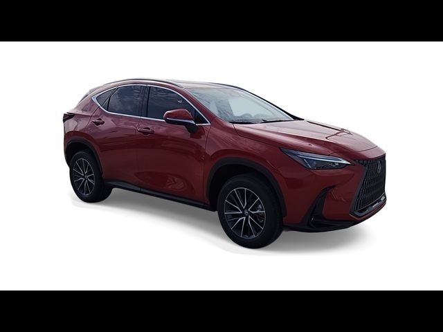 2025 Lexus NX 250