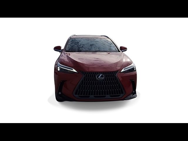 2025 Lexus NX 250