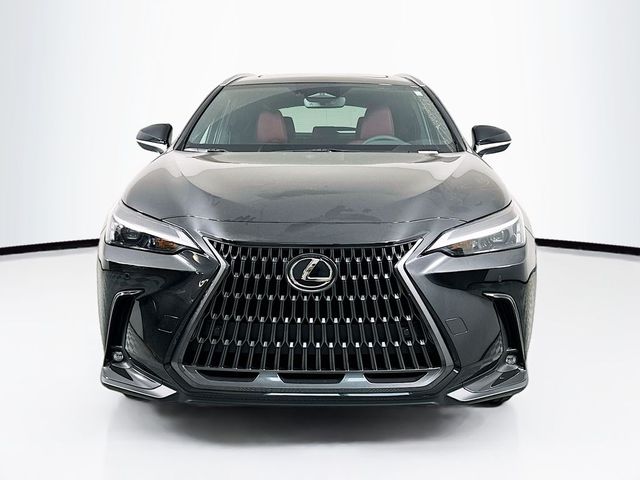 2025 Lexus NX 250