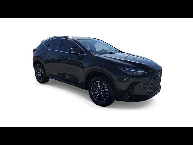 2025 Lexus NX 250