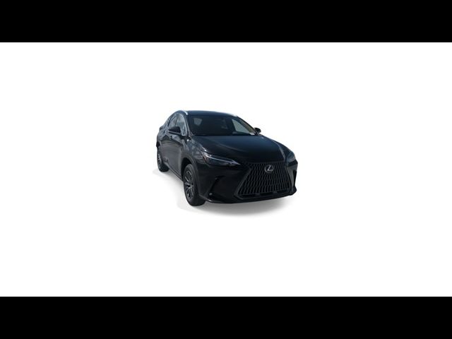 2025 Lexus NX 250