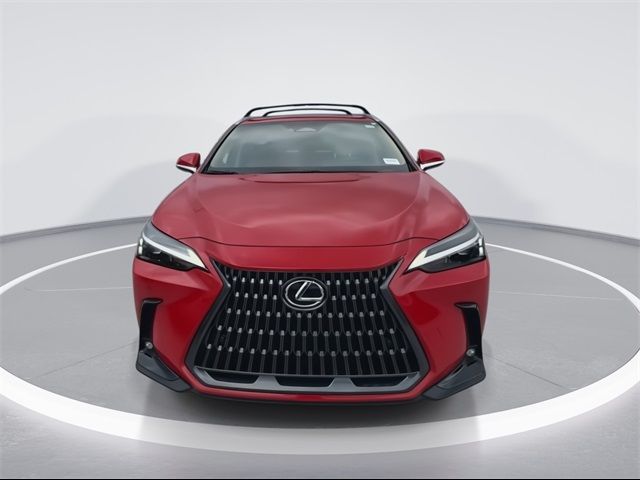 2025 Lexus NX 250