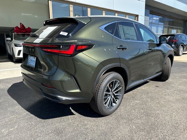 2025 Lexus NX 250