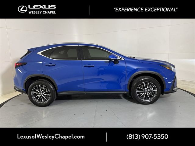 2025 Lexus NX 250