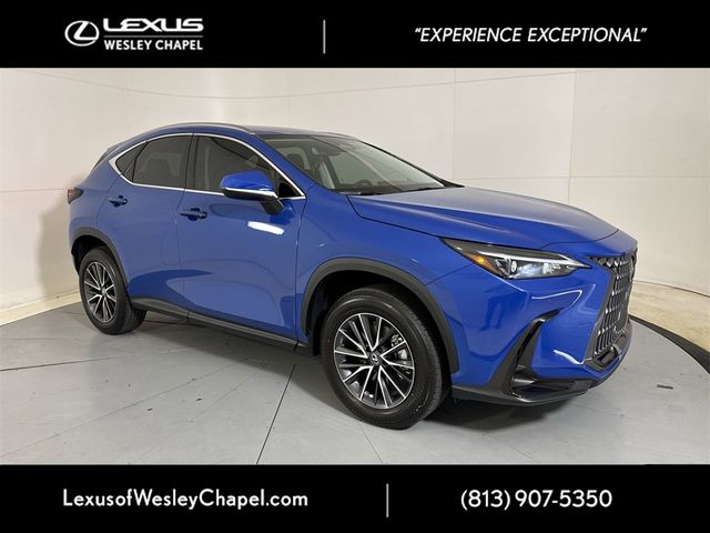 2025 Lexus NX 250