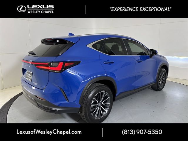 2025 Lexus NX 250