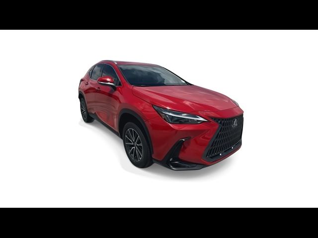 2025 Lexus NX 250