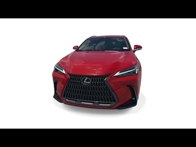 2025 Lexus NX 250