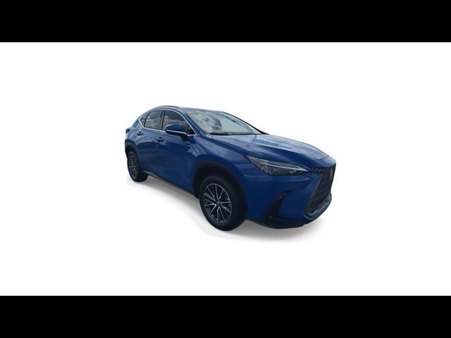 2025 Lexus NX 250