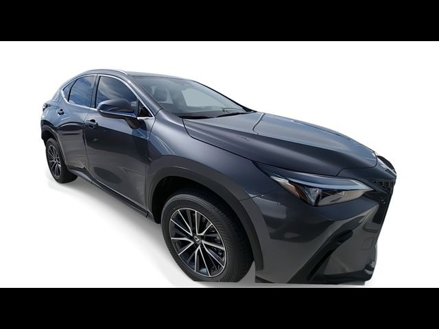 2025 Lexus NX 250