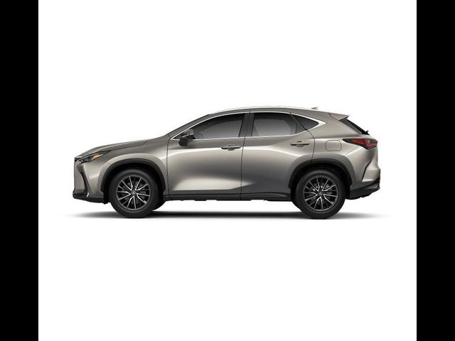 2025 Lexus NX 250