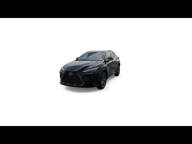 2025 Lexus NX 250