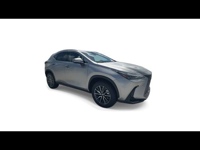 2025 Lexus NX 250