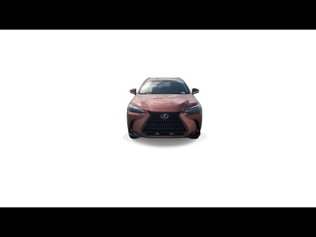 2025 Lexus NX 250