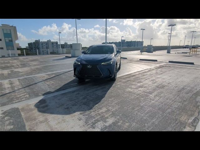 2025 Lexus NX 250