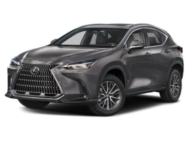 2025 Lexus NX 250