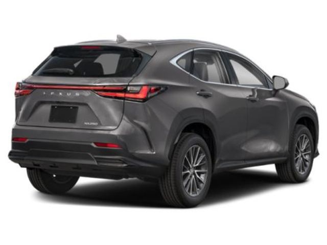 2025 Lexus NX 250