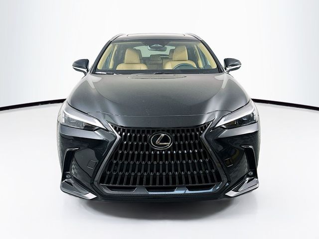 2025 Lexus NX 250