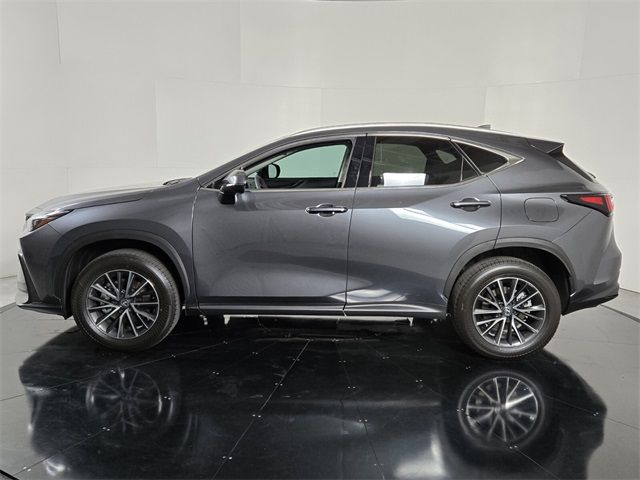 2025 Lexus NX 250