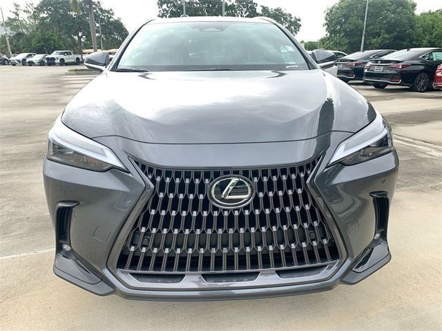 2025 Lexus NX 250